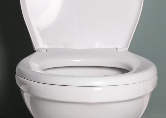Stanford’s smart toilet analyzes urine and feces for signs of disease
