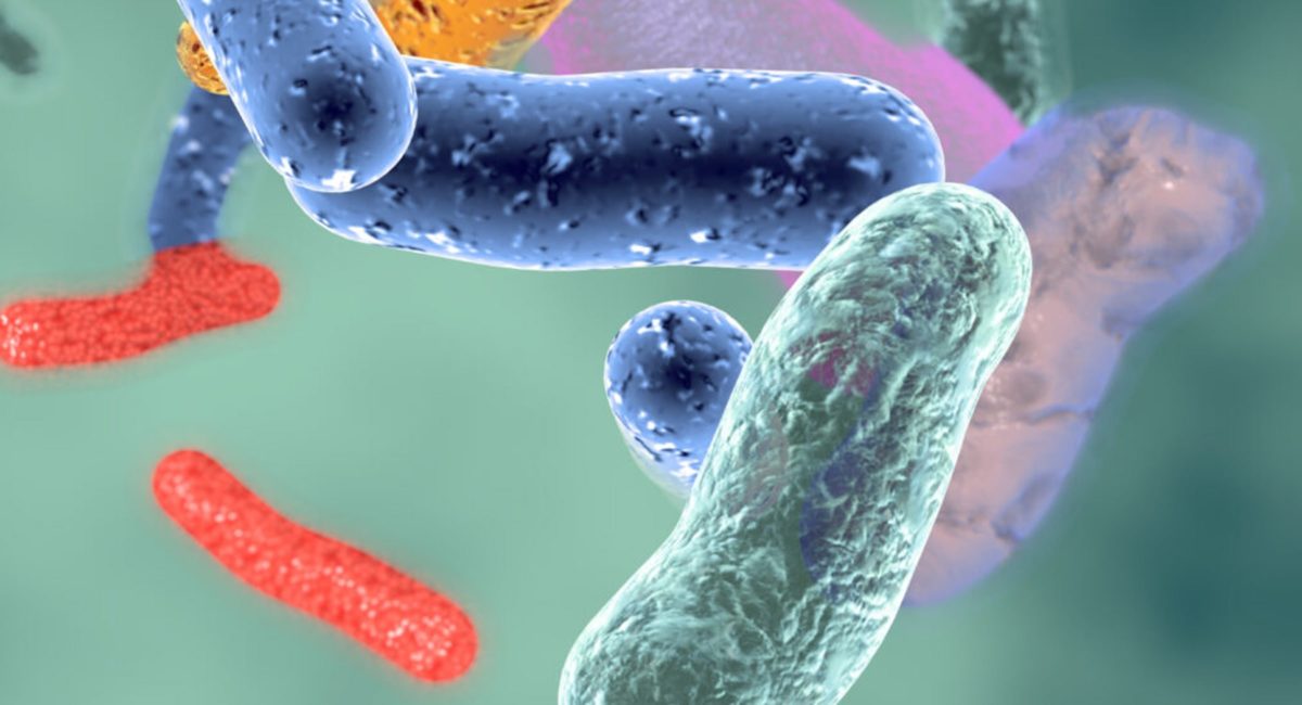 Switzerland potential home for “Noah’s Ark” of microbes to preserve human health in perpetuity