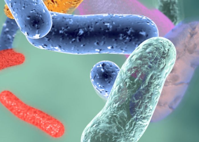 Switzerland potential home for “Noah’s Ark” of microbes to preserve human health in perpetuity